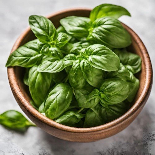 Basil