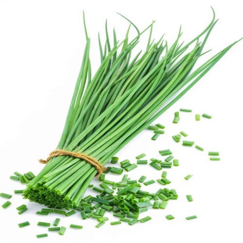 Chives